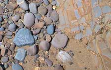 Shutterstock Image ID: 3286608